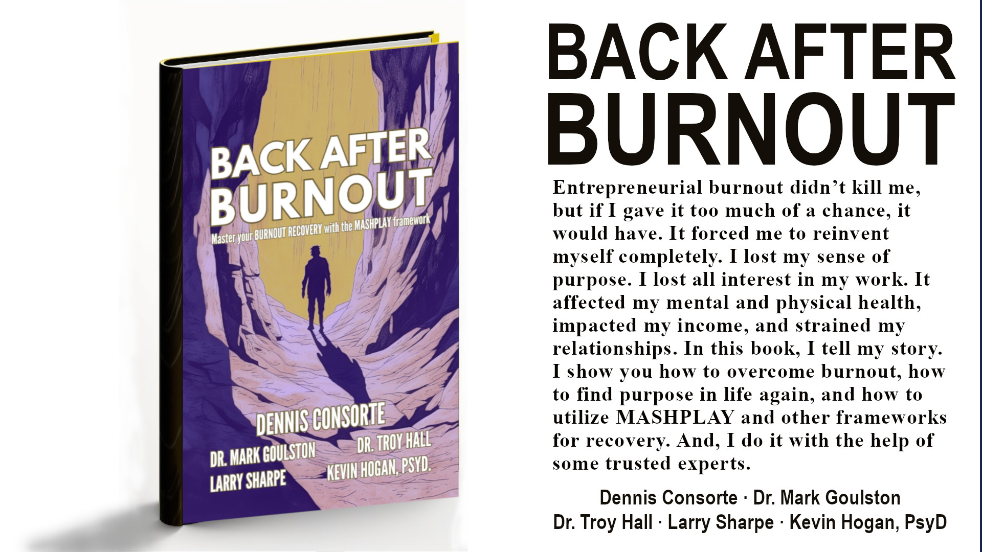 Back After Burnout book and description